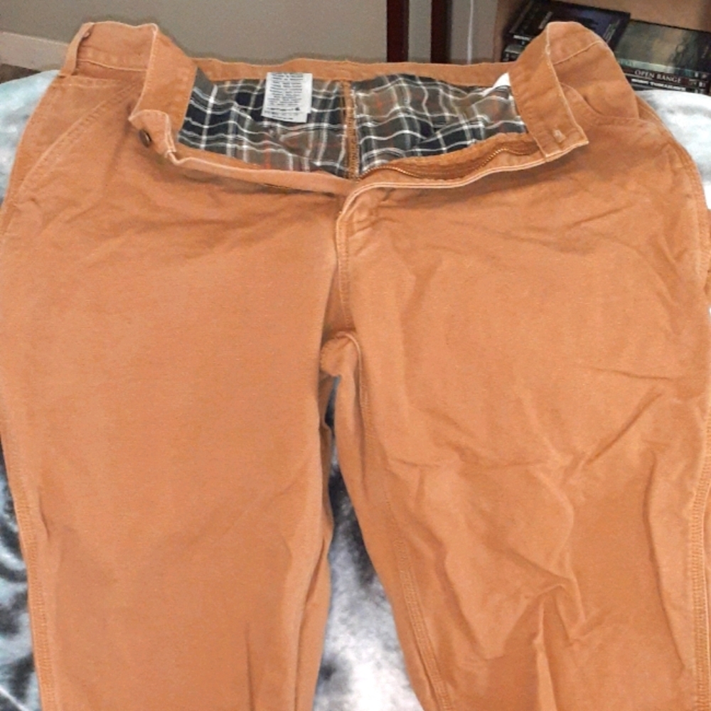 Carhartt insulated  work pants